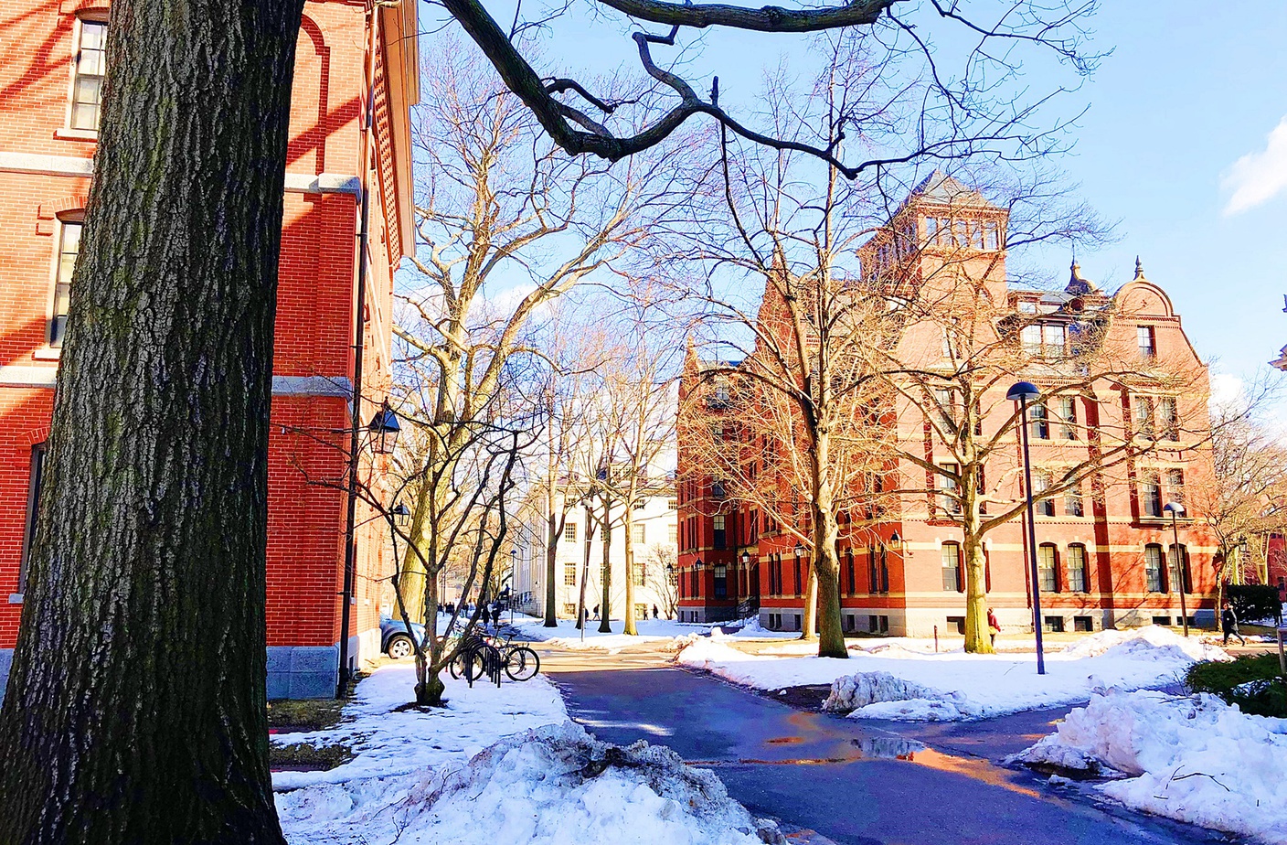 Winter Activity in Boston Harvard