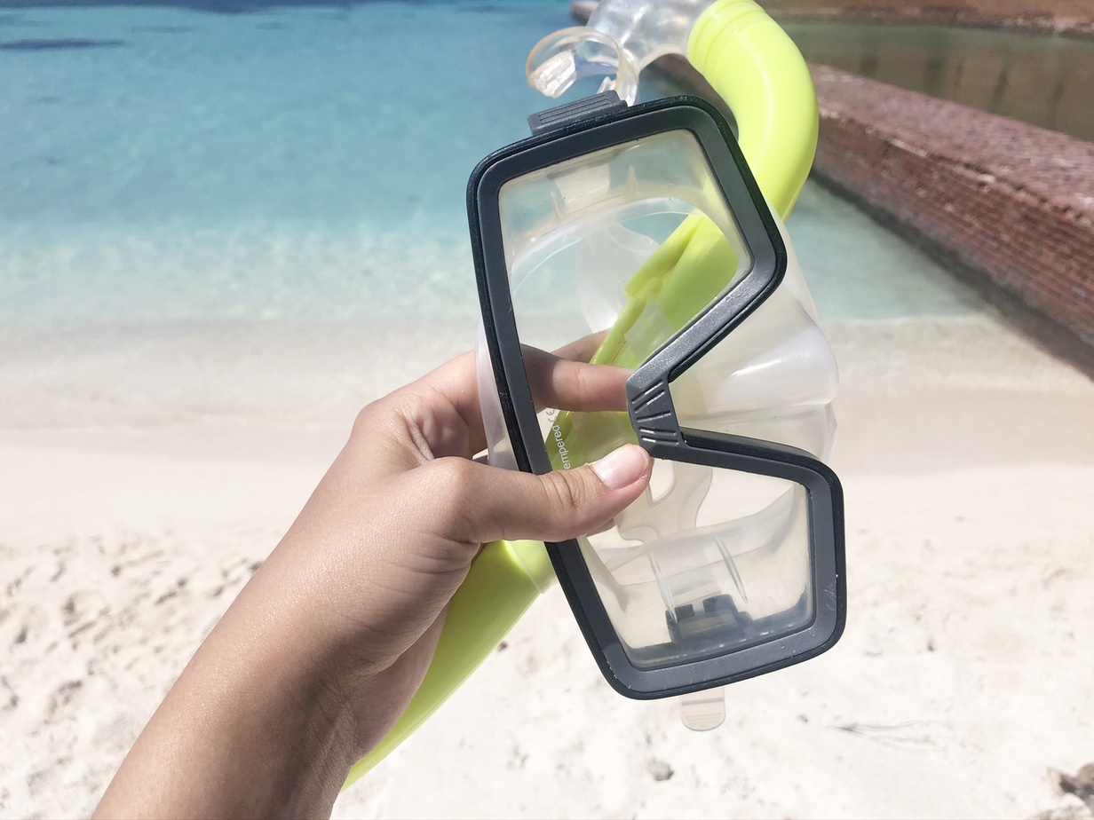 things to do in key west snorkeling in coral reefs