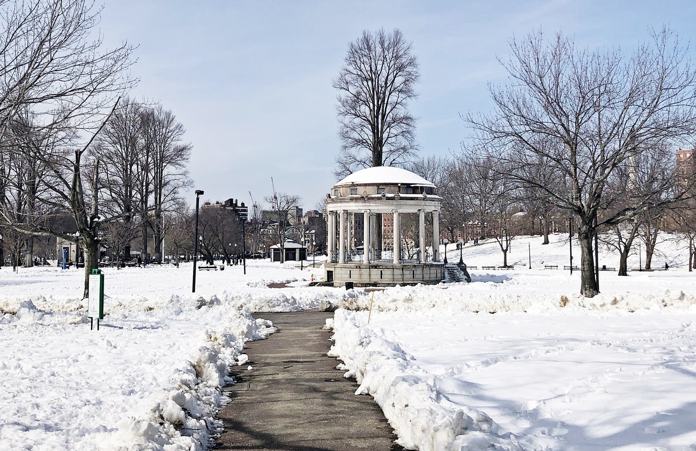 winter in boston common winter activity in Boston Common