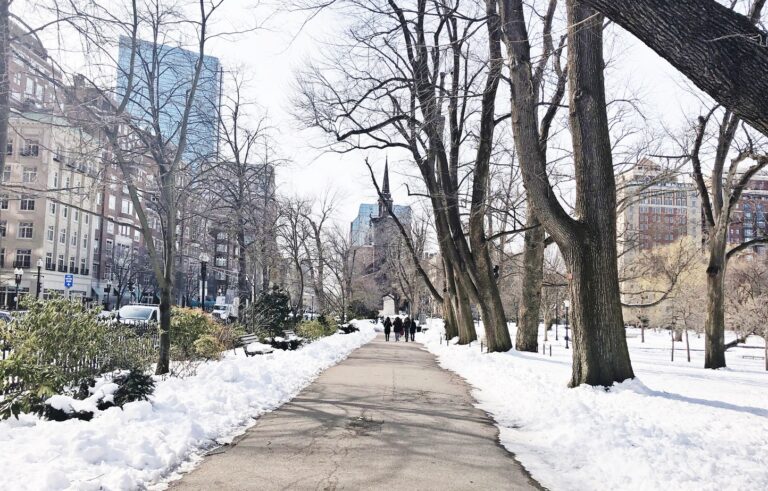 16 Must-Do Winter Activities in Boston: Experience Snowy Fun & Cozy Adventures!