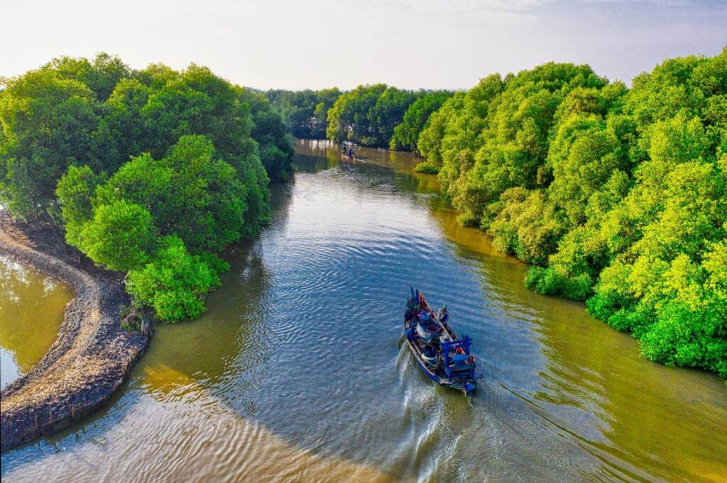 Kayaking in the mangroves in key west