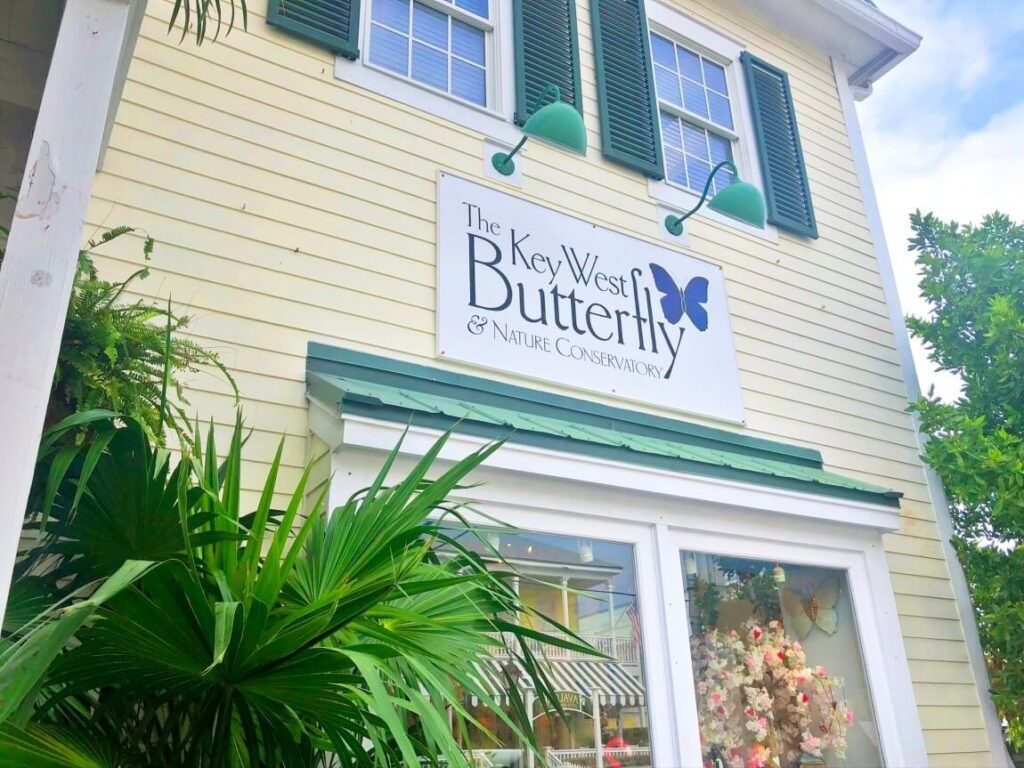 things to do in key west Key West butterfly conservatory
