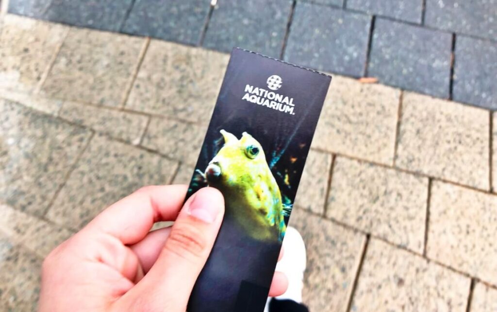 things to do in Baltimore national aquarium