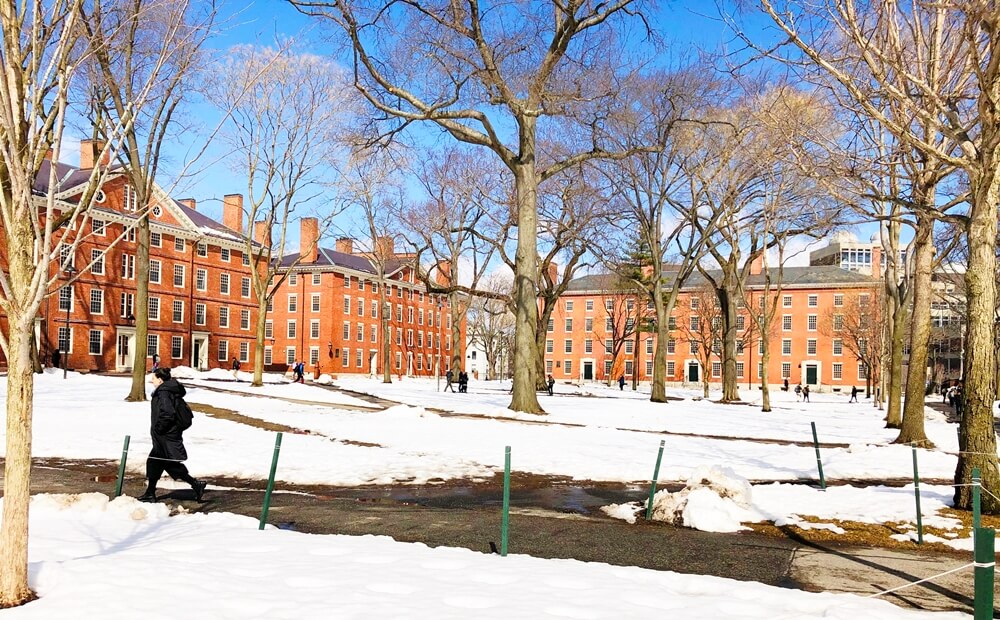 visiting Harvard University