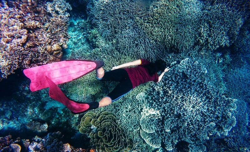 Coral reef snorkeling