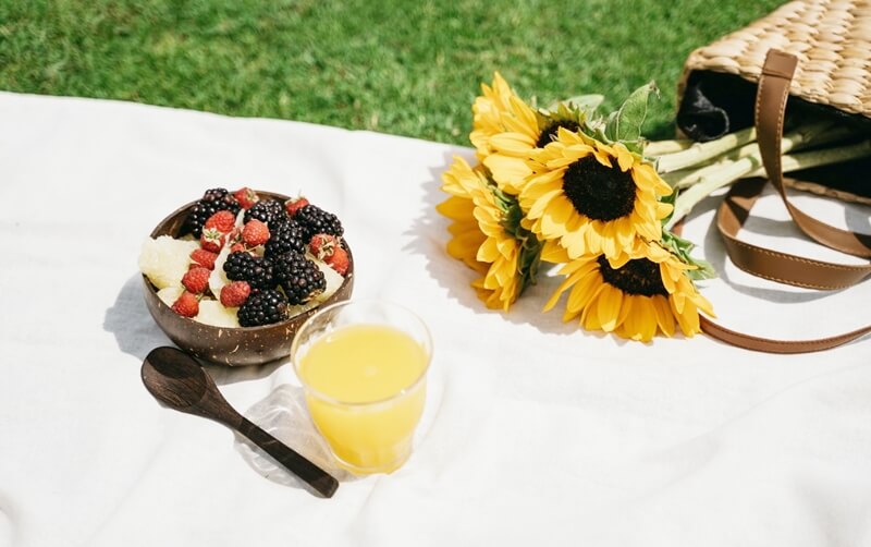 sunflower fields in Long Island (10)