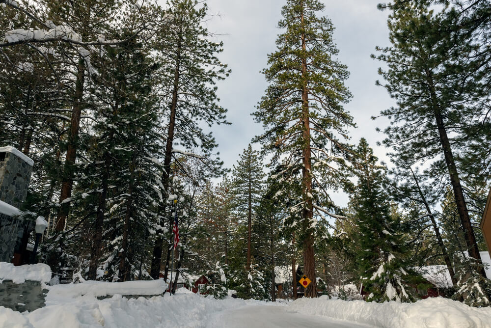 where it snows in California Wrightwood California in winter