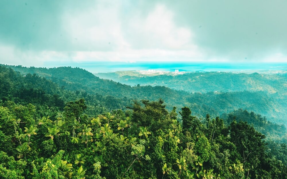 San Juan is worth visiting El Yunque National Forest in Puerto Rico San Juan