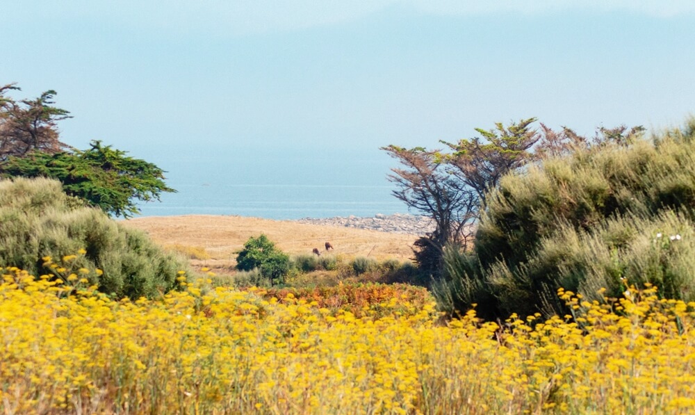 Île-de-Batz, France