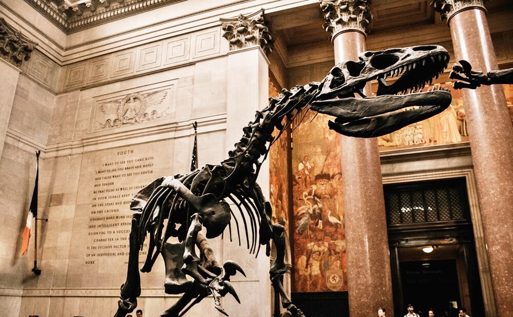 rainy day in New York Museum of Natural History