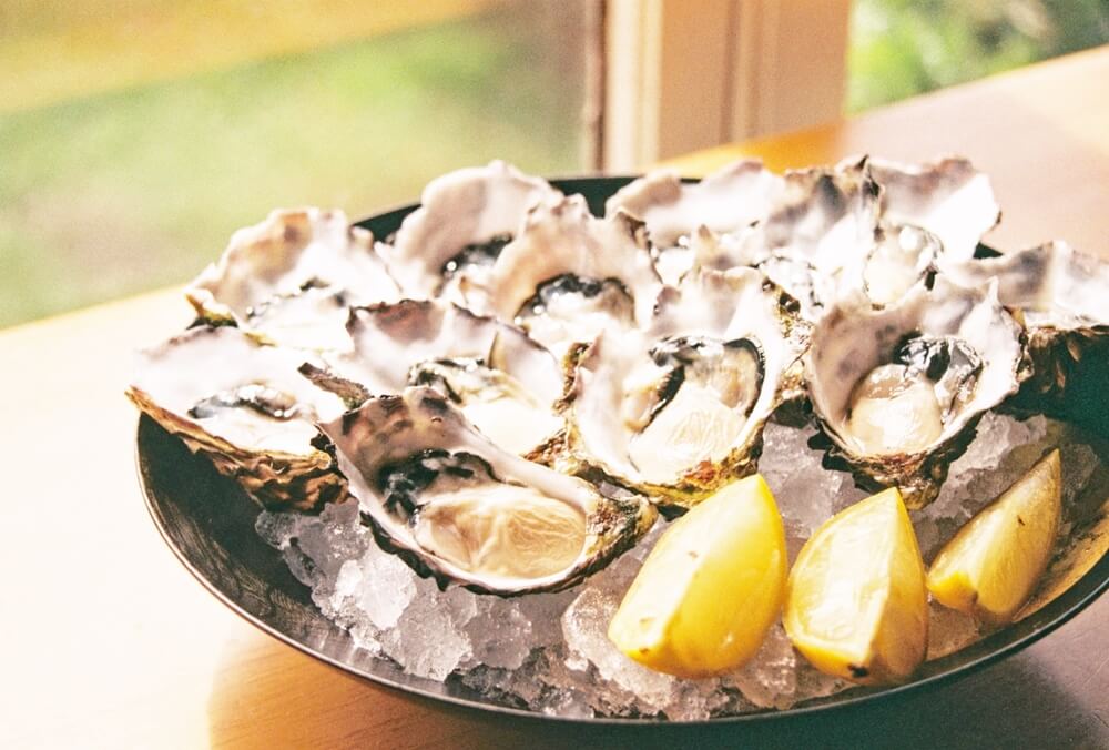 things to do in Long Island Oyster bay