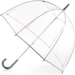 clear umbrella