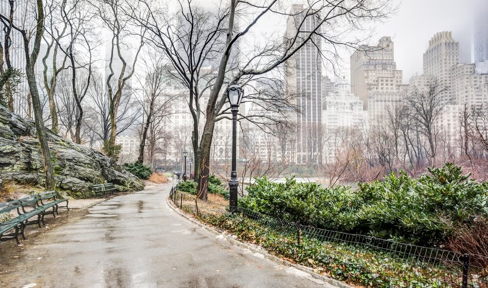 rainy day in Central Park, New York