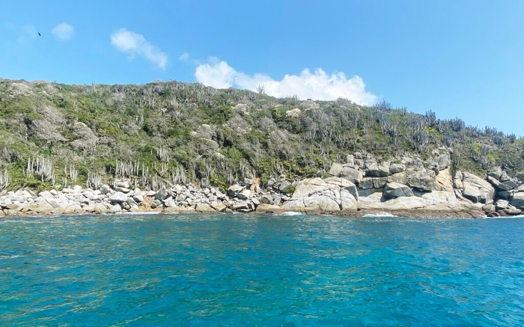 enseada do anequim arraial do cabo diving