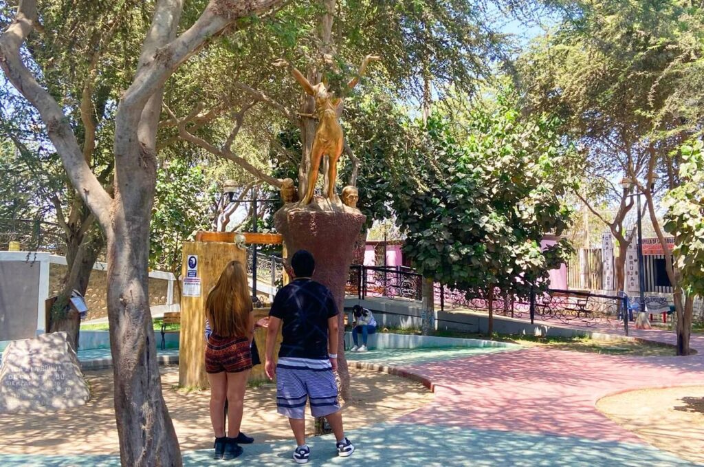 things to do in huacachina - Cachinche Ica, Peru