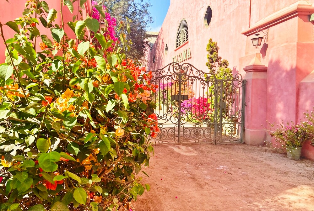 things to do in huacachina Hacienda Bodega Tacama - Ica winery - views