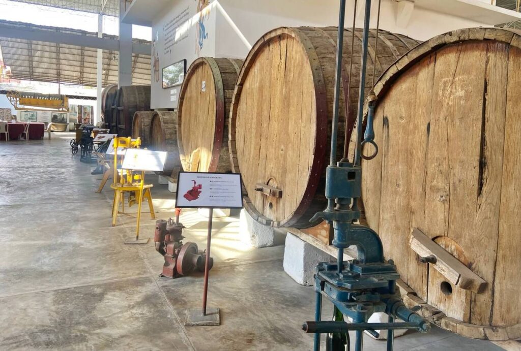 things to do in huacachina Hacienda Bodega Tacama - Ica winery - wine storage