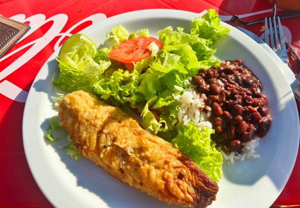 things to do in Ilha Grande fish plate in Ilha Grande