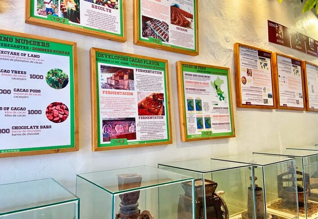 Things to Do in Cusco museo-del-chocolate-cusco
