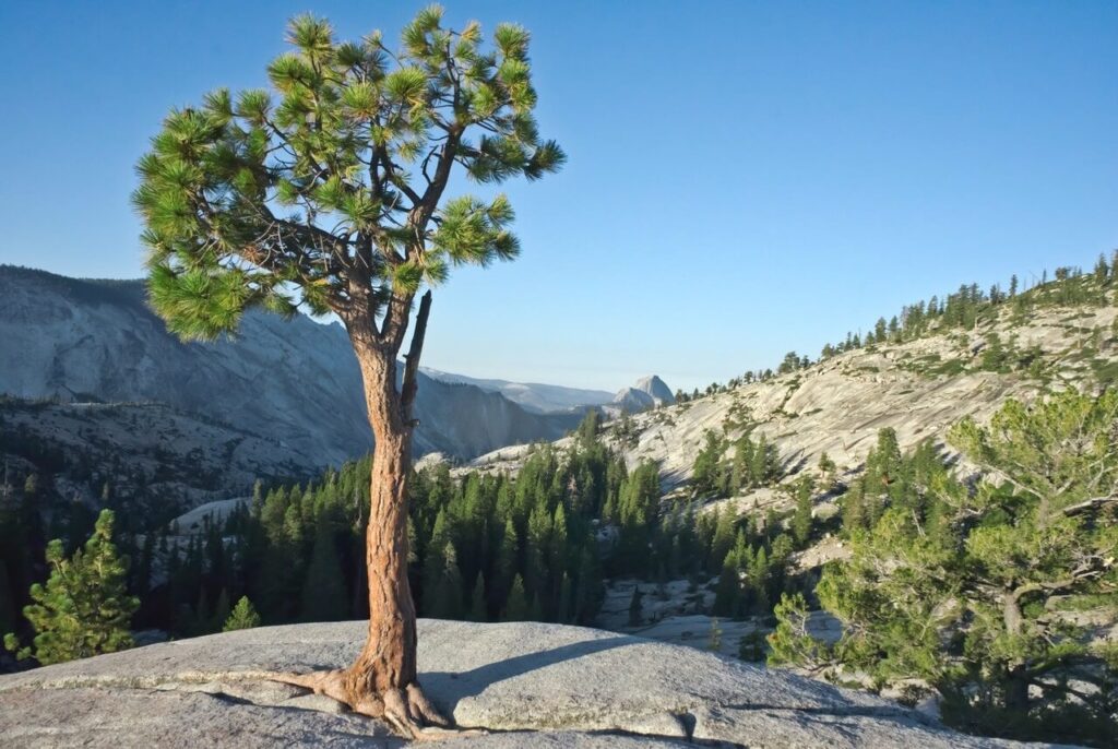 2 Days In Yosemite Itinerary yosemite valley