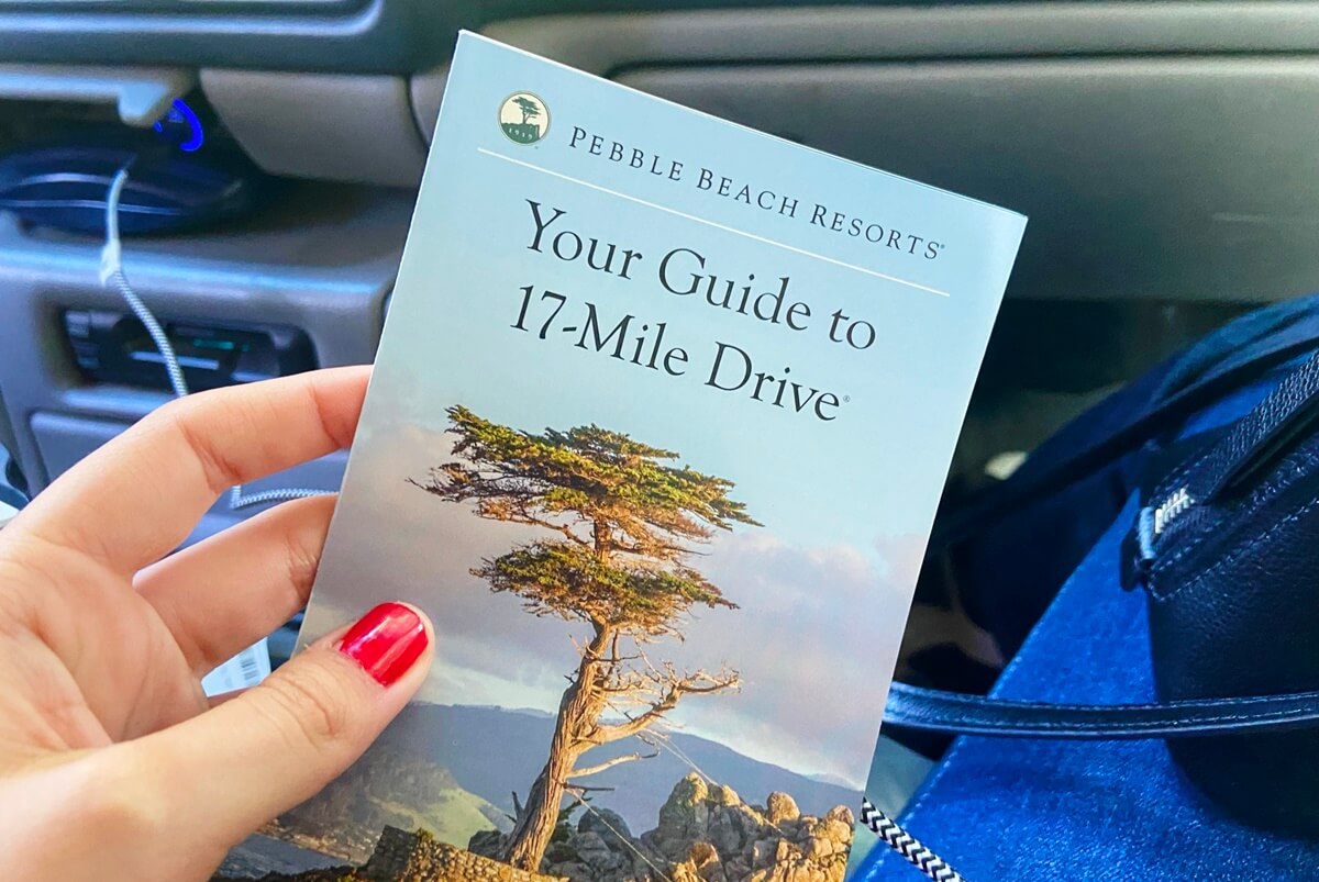 Point Lobos vs Big Sur 17 mile drive