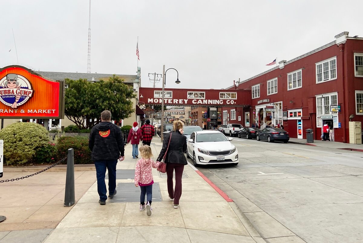 Point Lobos vs Big Sur monterey california