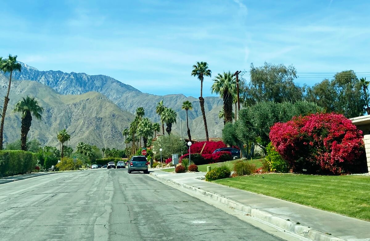 Palm Springs is worth visiting my block in palm springs