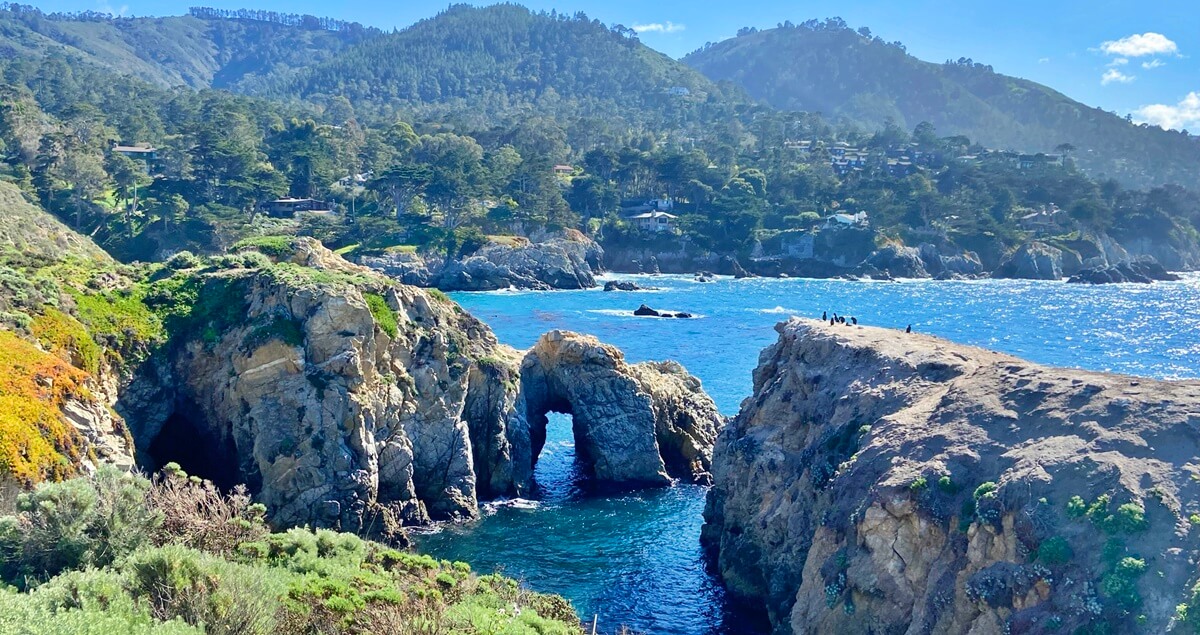 Point Lobos vs Big Sur point lobos state natural reserve