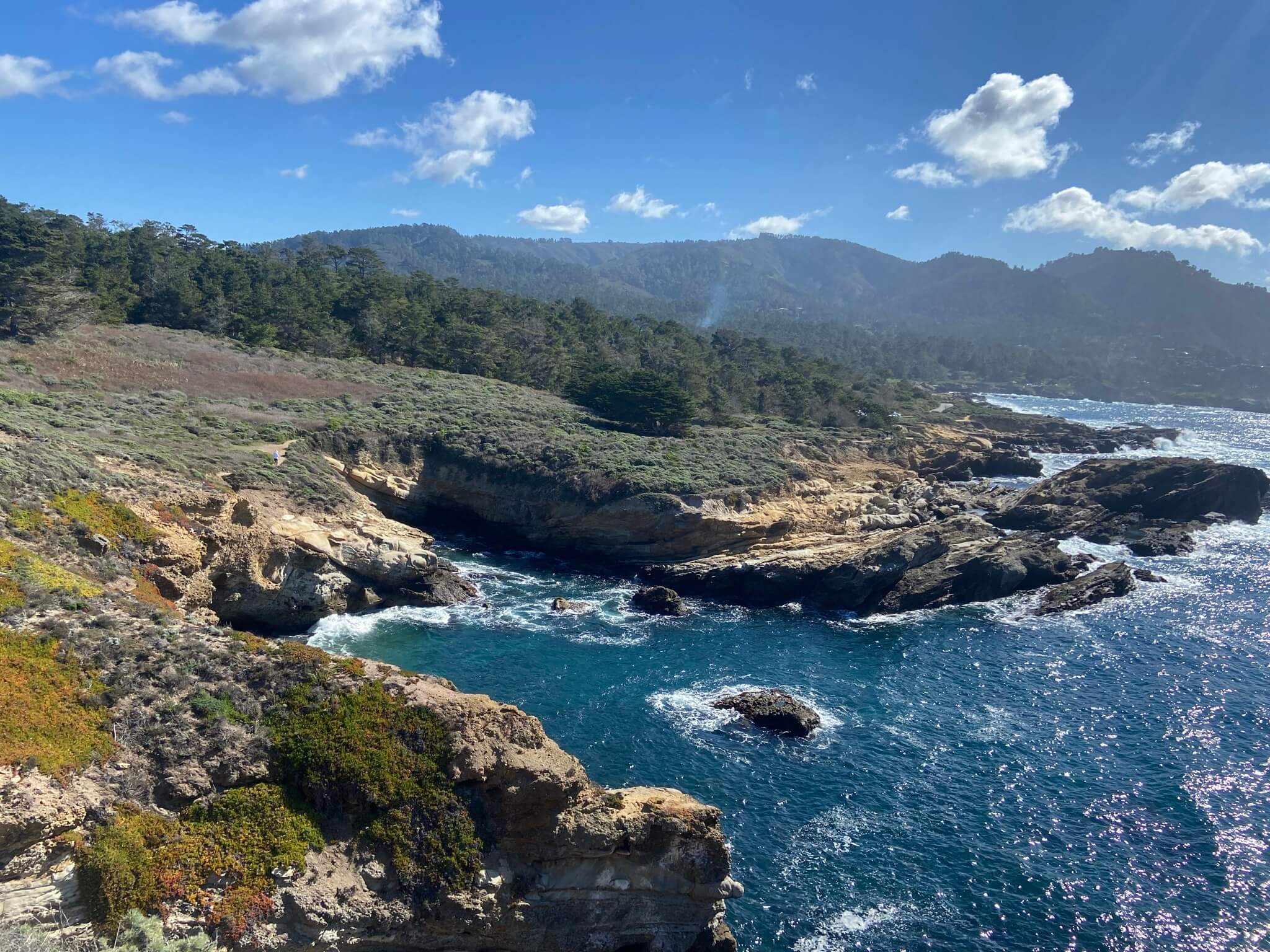 Point Lobos vs Big Sur point lobos state natural reserve