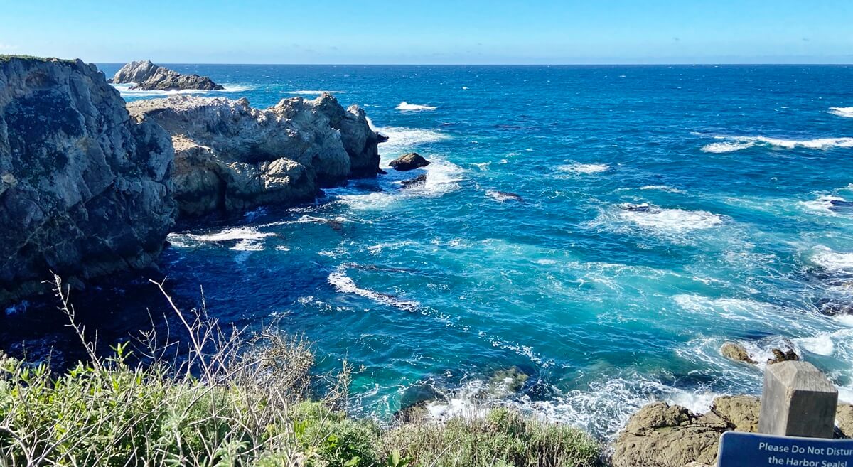 point lobos state natural reserve (13)
