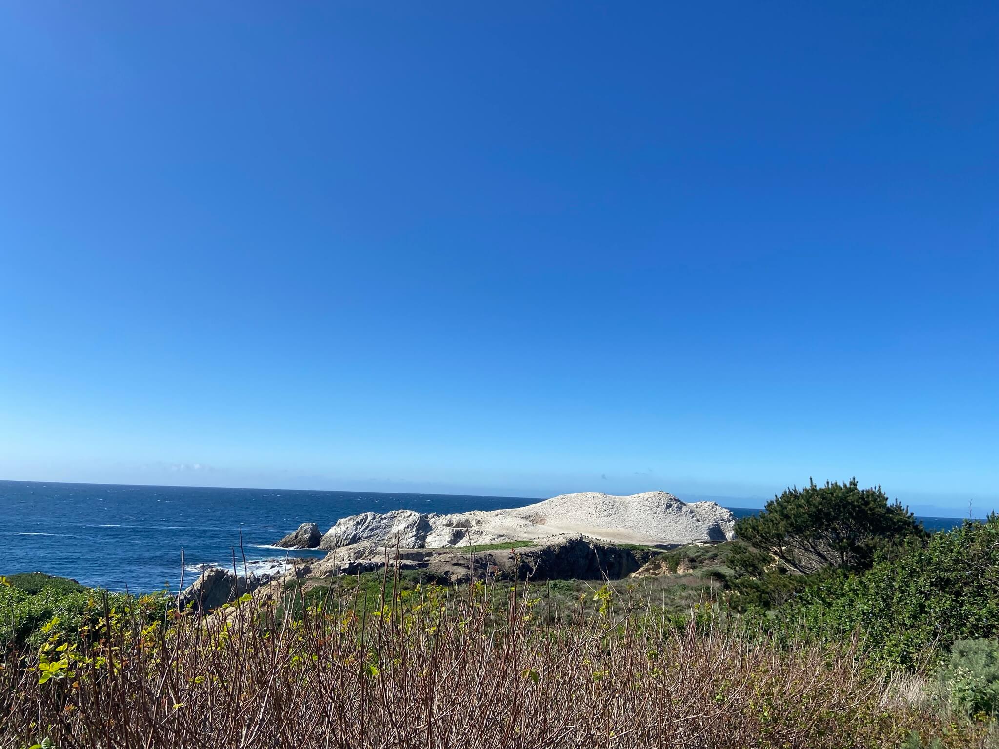 Point Lobos vs Big Sur point lobos state natural reserve