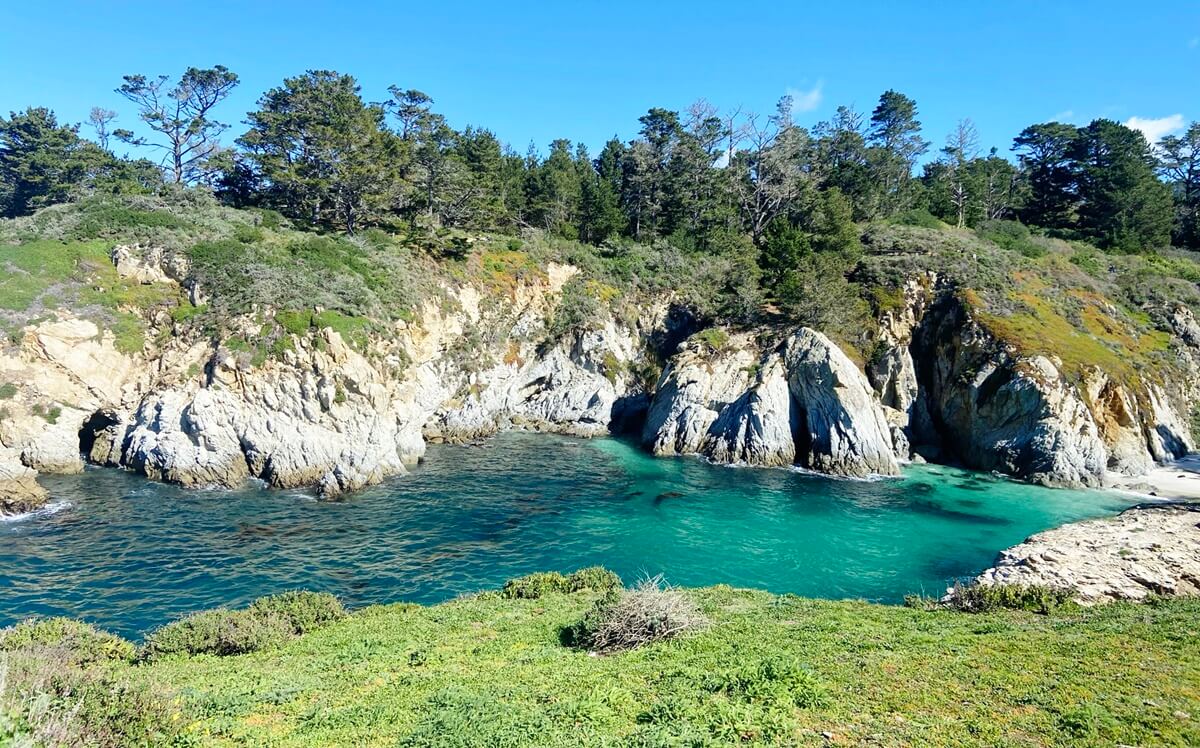 point lobos state natural reserve (2)