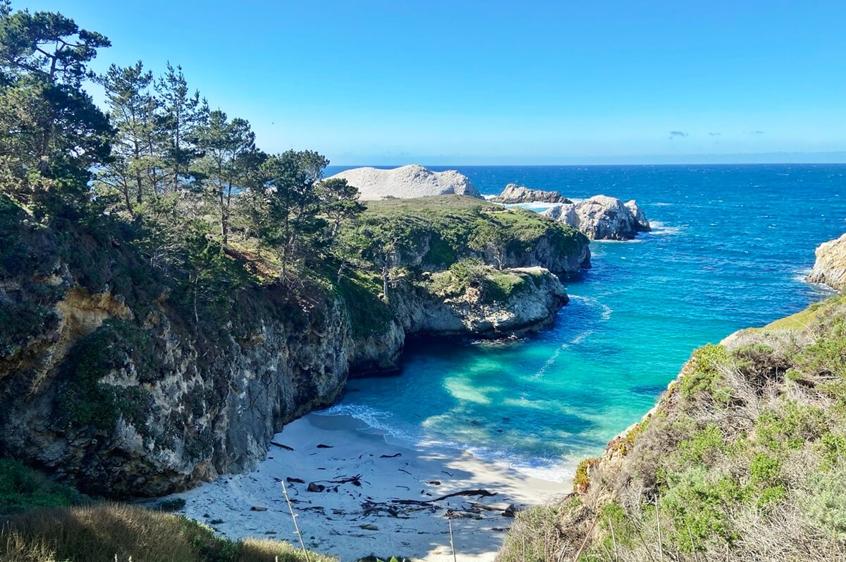 Point Lobos vs Big Sur point lobos state natural reserve