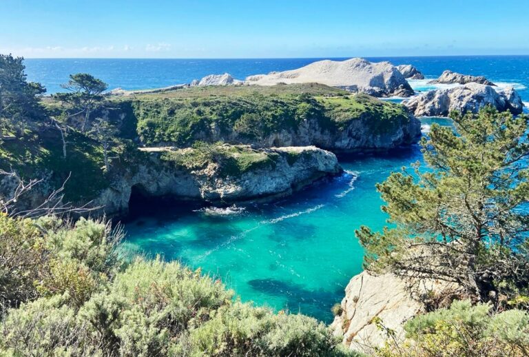 point lobos state natural reserve (6)