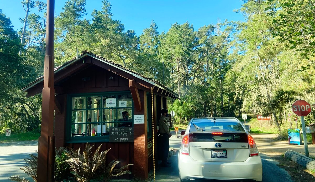 Point Lobos vs Big Sur point lobos state natural reserve entrance