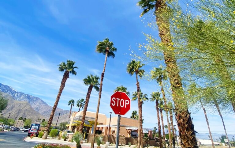 street in palm springs
