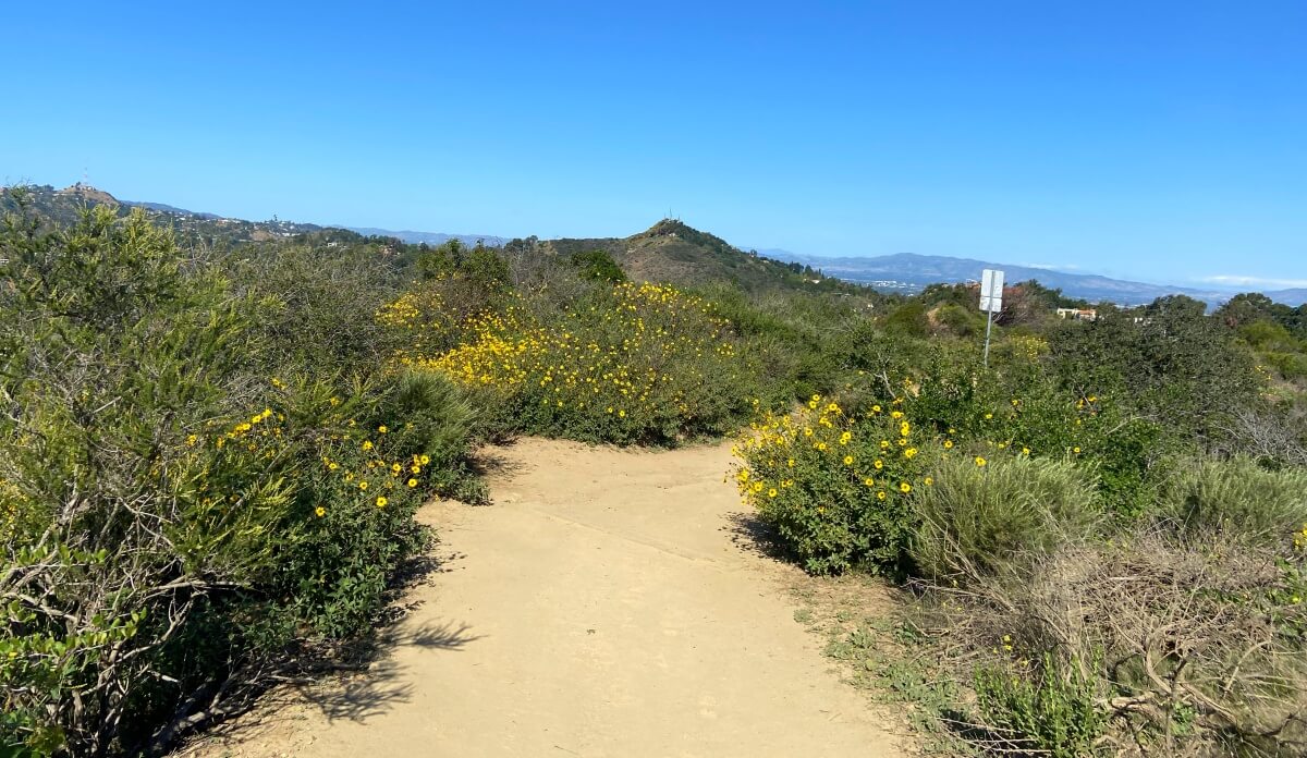 runyon canyon hike in los angeles (1)