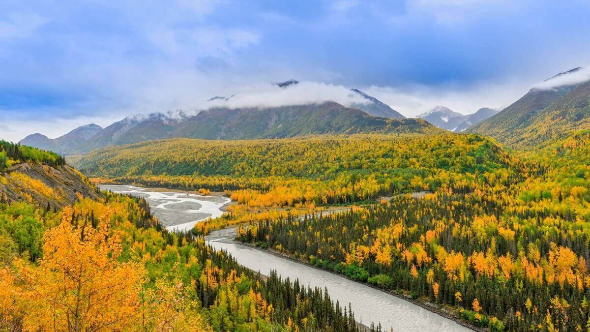 flattop mountain trail moose in the river in alaska
