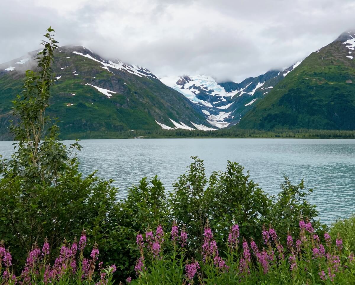 views on the way from anchorage to whittier