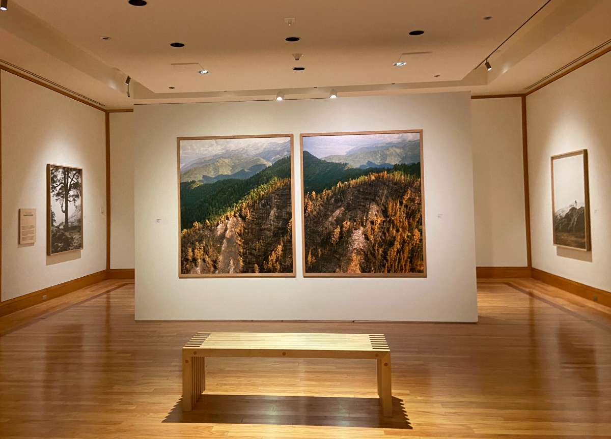 things to do in anchorage anchorage museum