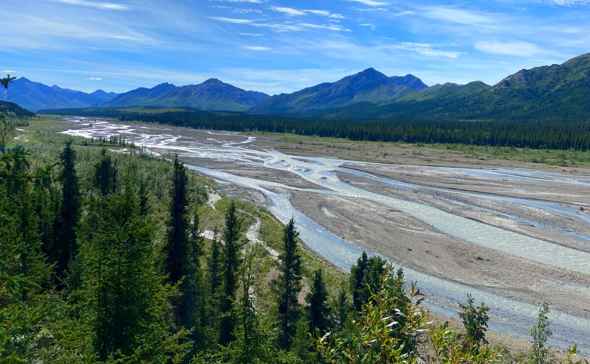 free things to do in denali national park braided river