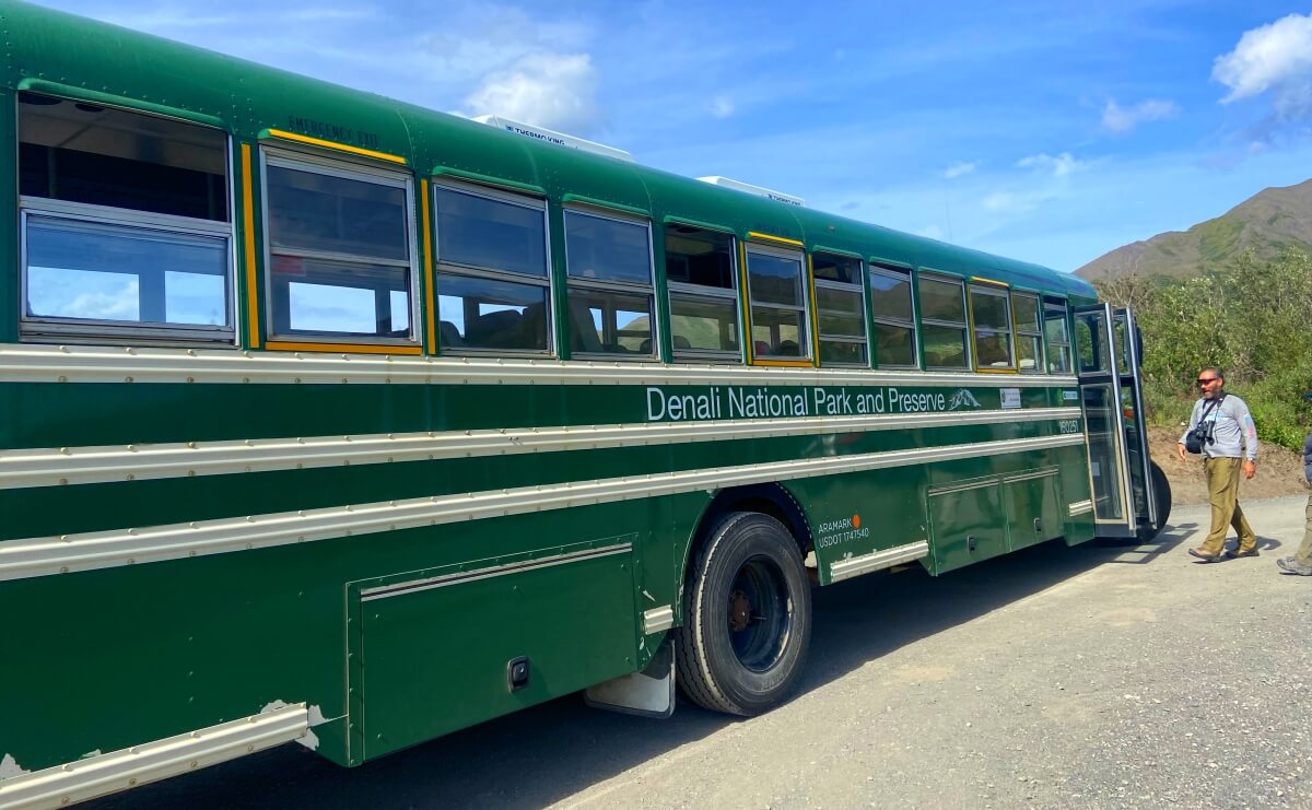 free things to do in denali national park bus tour