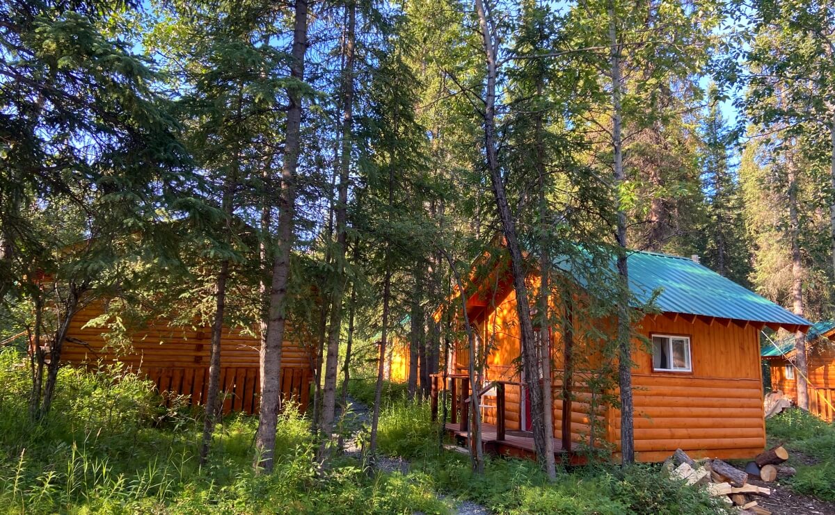 free things to do in denali national park denali hostel cabins
