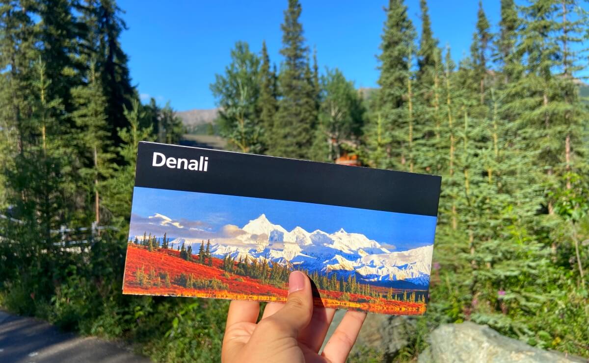 is denali worth visiting denali map