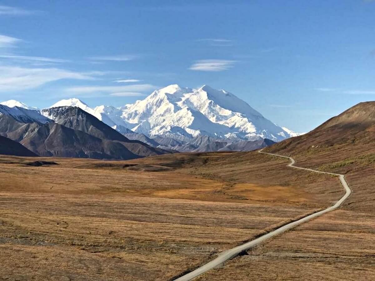 free things to do in denali national park