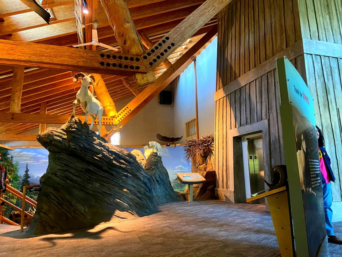 is denali worth visiting fireweed flowers in alaska