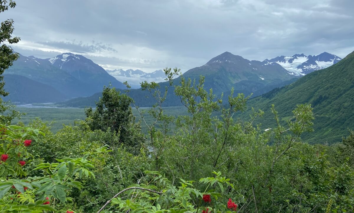harding icefield trail hike view