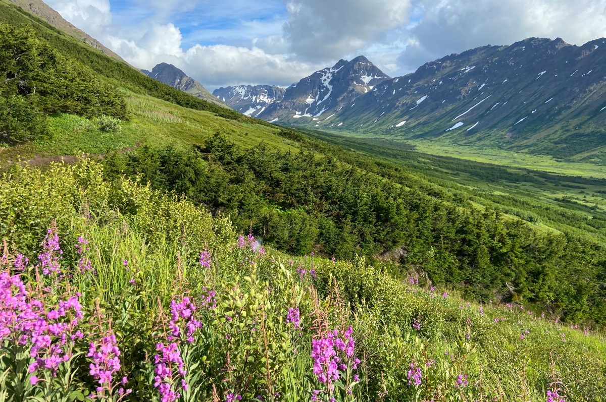 peak omalley hike in anchorage