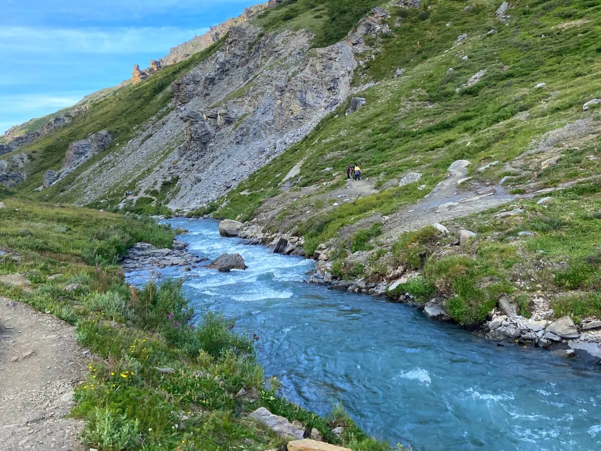 free things to do in denali national park savage river