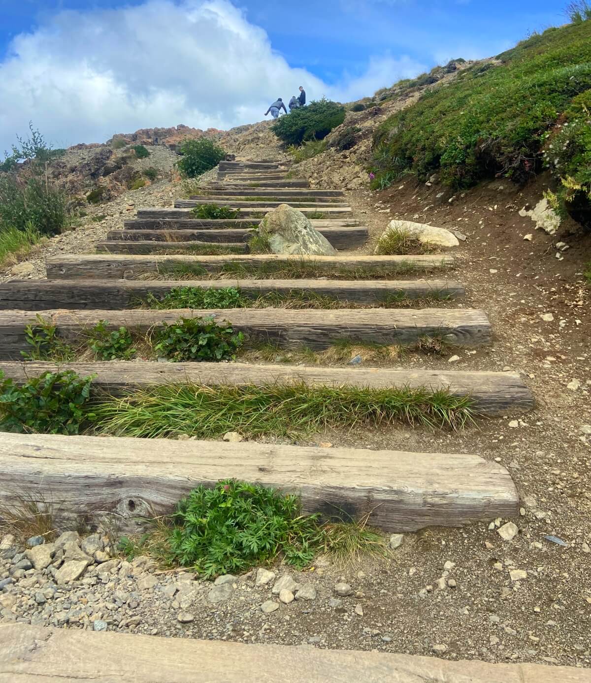 flattop mountain trail stairs in flattop